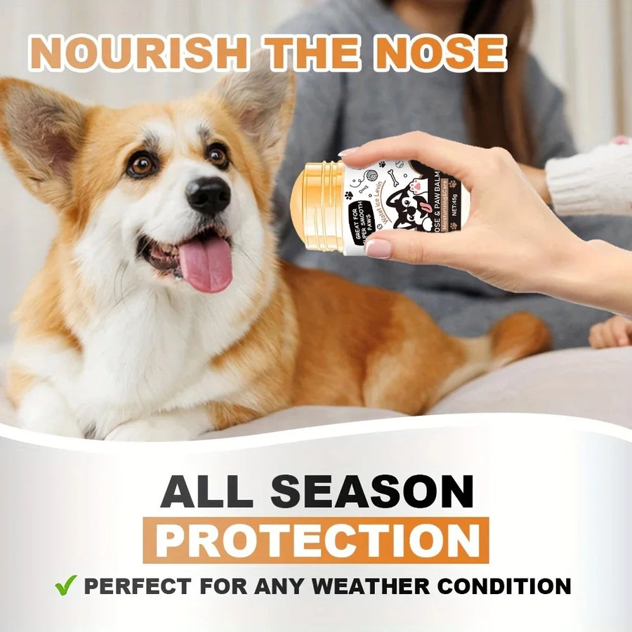 Still Paws Nose & Paw Balm applied to a dog's paw